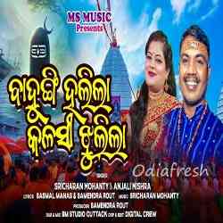 Bahungi Hajila Kalasi Jhulila